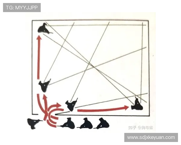 CSGO战术解析：BLG战队如何构建高效的整体压制体系与战术执行