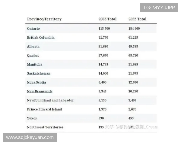 上海排球队现状分析与未来展望聚焦排球运动发展新机遇